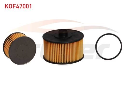 Nıssan Qashqai III 1.3İ DIG-T Yağ Filtresi 2021→ (116KW-158HP)Kruger